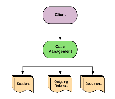 Case Management Diagram