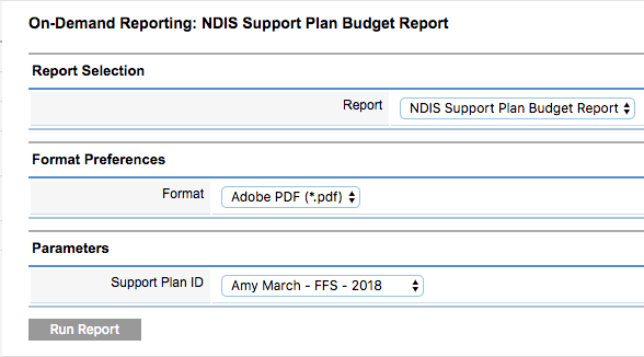 Budget Report parameters