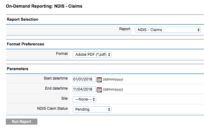NDIS Report Parameters completed