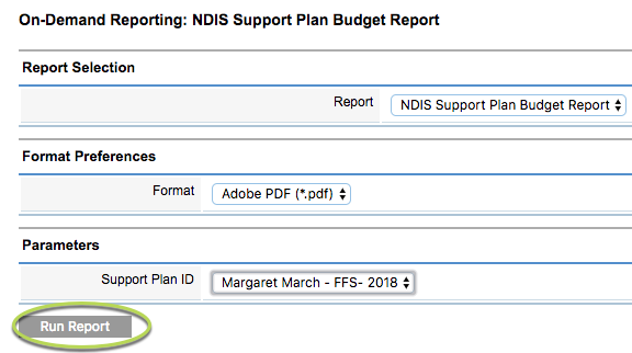 Support Plan Budget Report