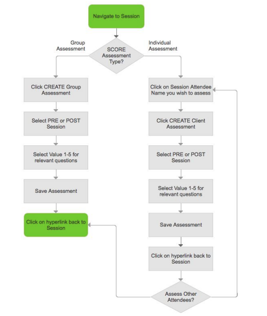 DSS SCORE Data entry process