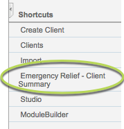 Emergency Relief Client Summary link